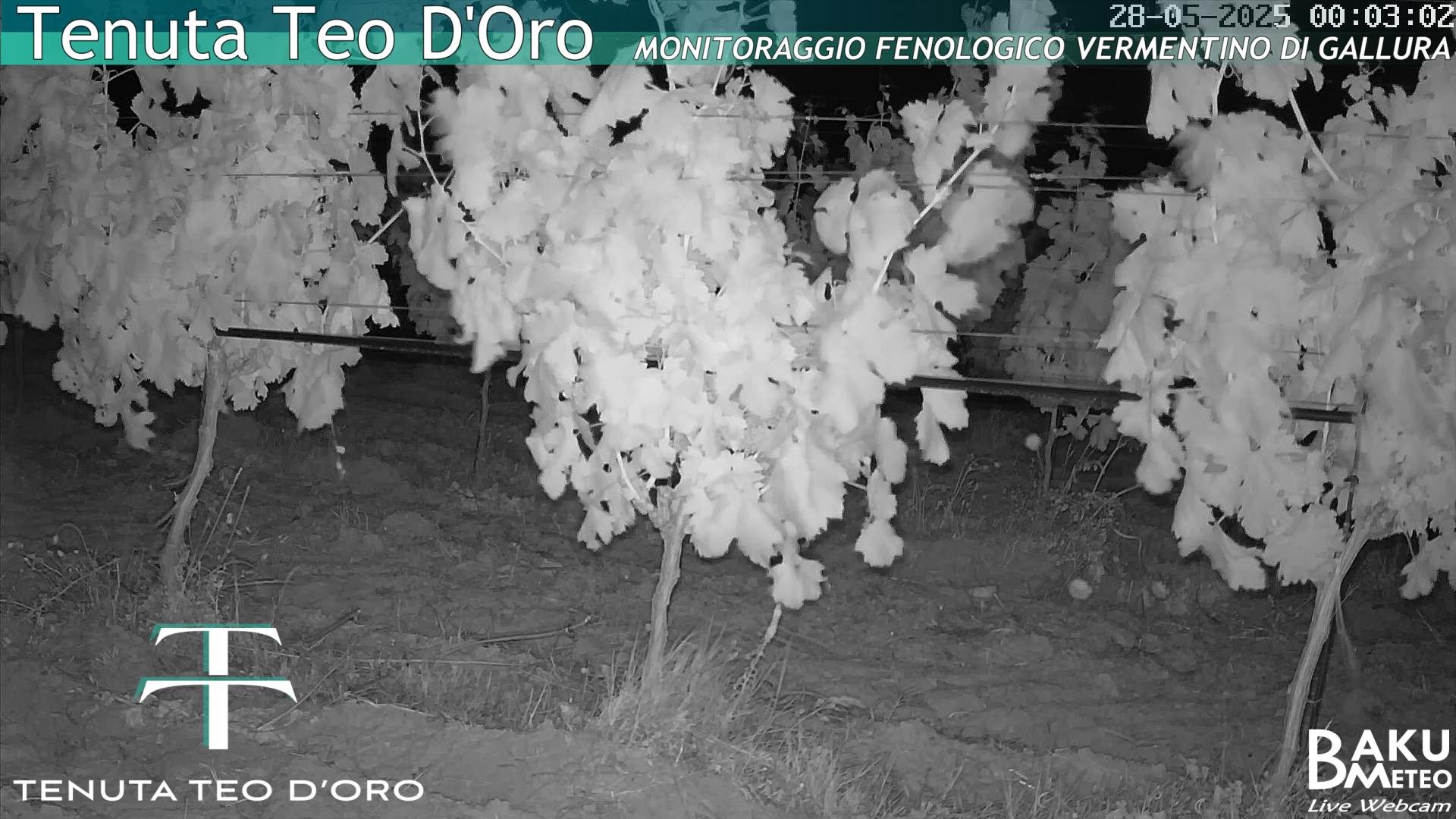 time-lapse frame, Teodoro webcam