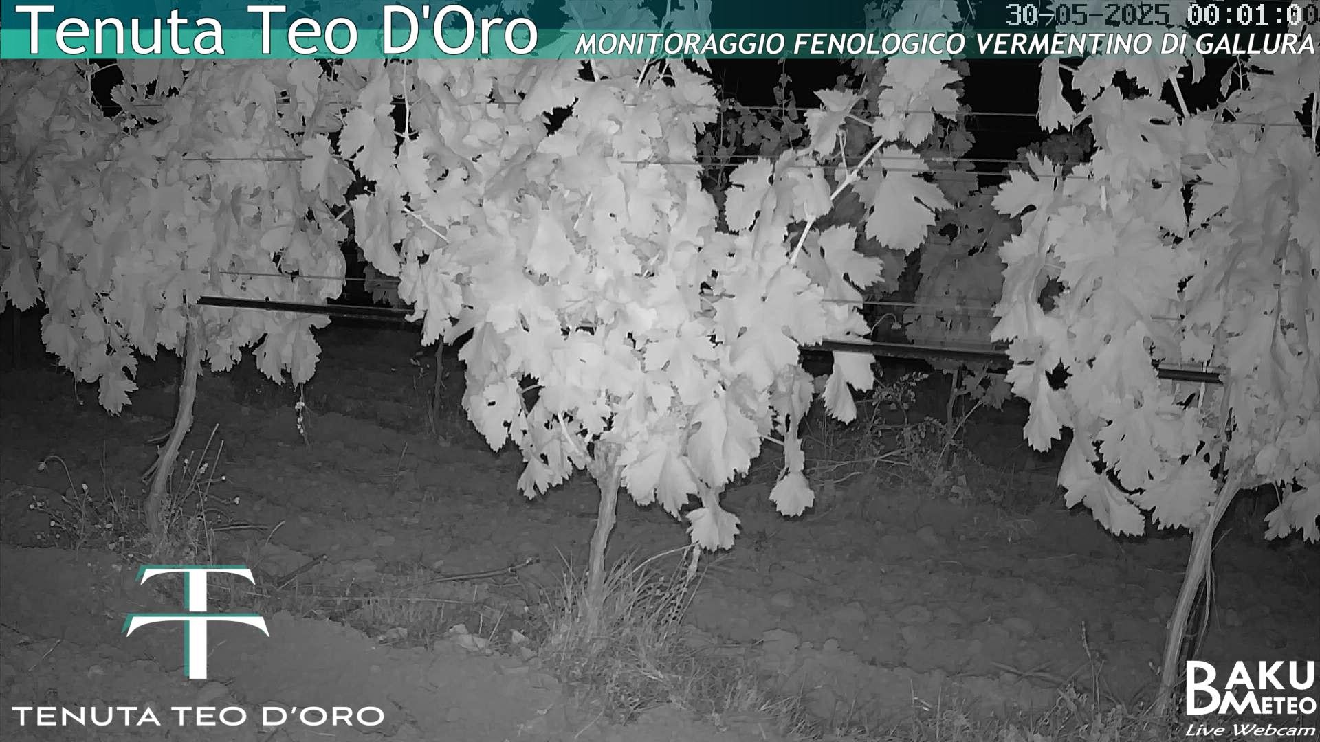 time-lapse frame, Teodoro webcam