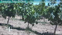 view from Teodoro on 2025-05-31