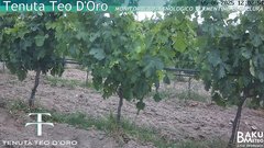 view from Teodoro on 2025-06-05