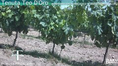 view from Teodoro on 2025-06-06