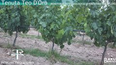 view from Teodoro on 2025-06-16