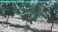 view from Teodoro on 2025-06-18