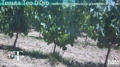 view from Teodoro on 2025-06-20