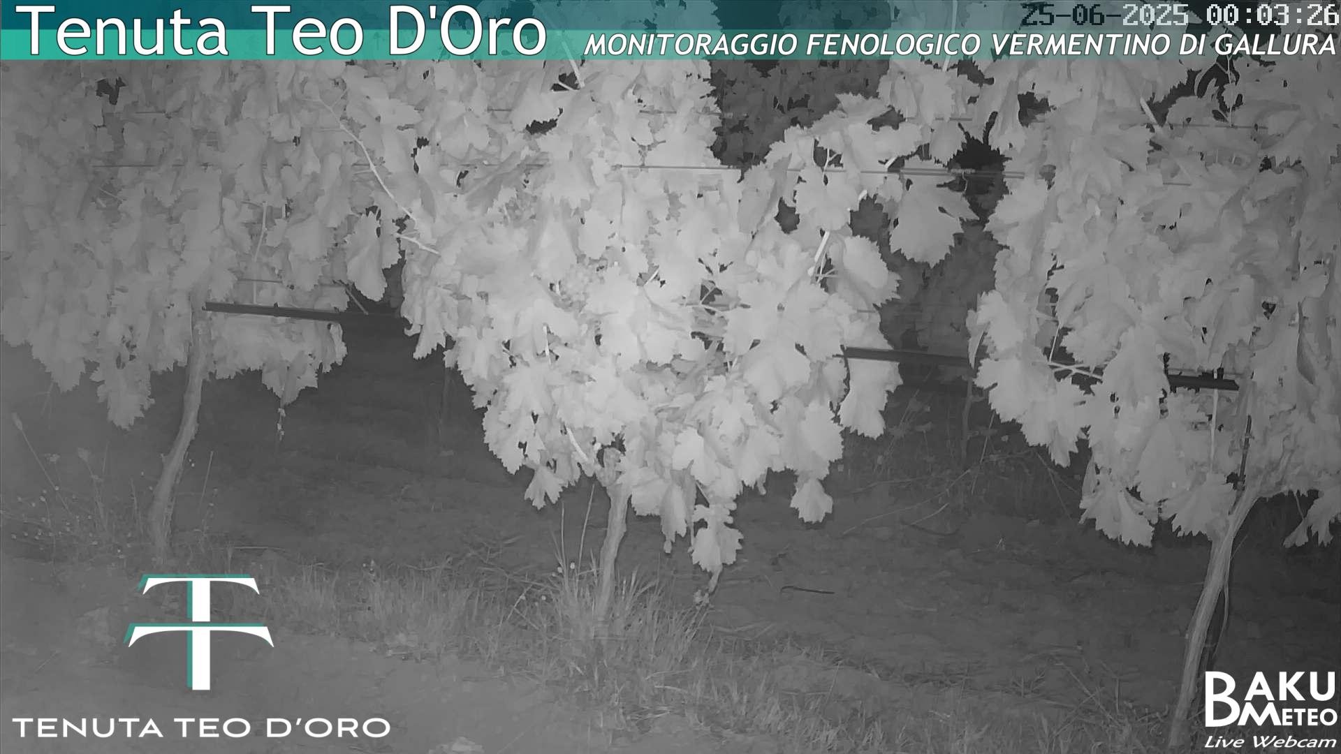 time-lapse frame, Teodoro webcam