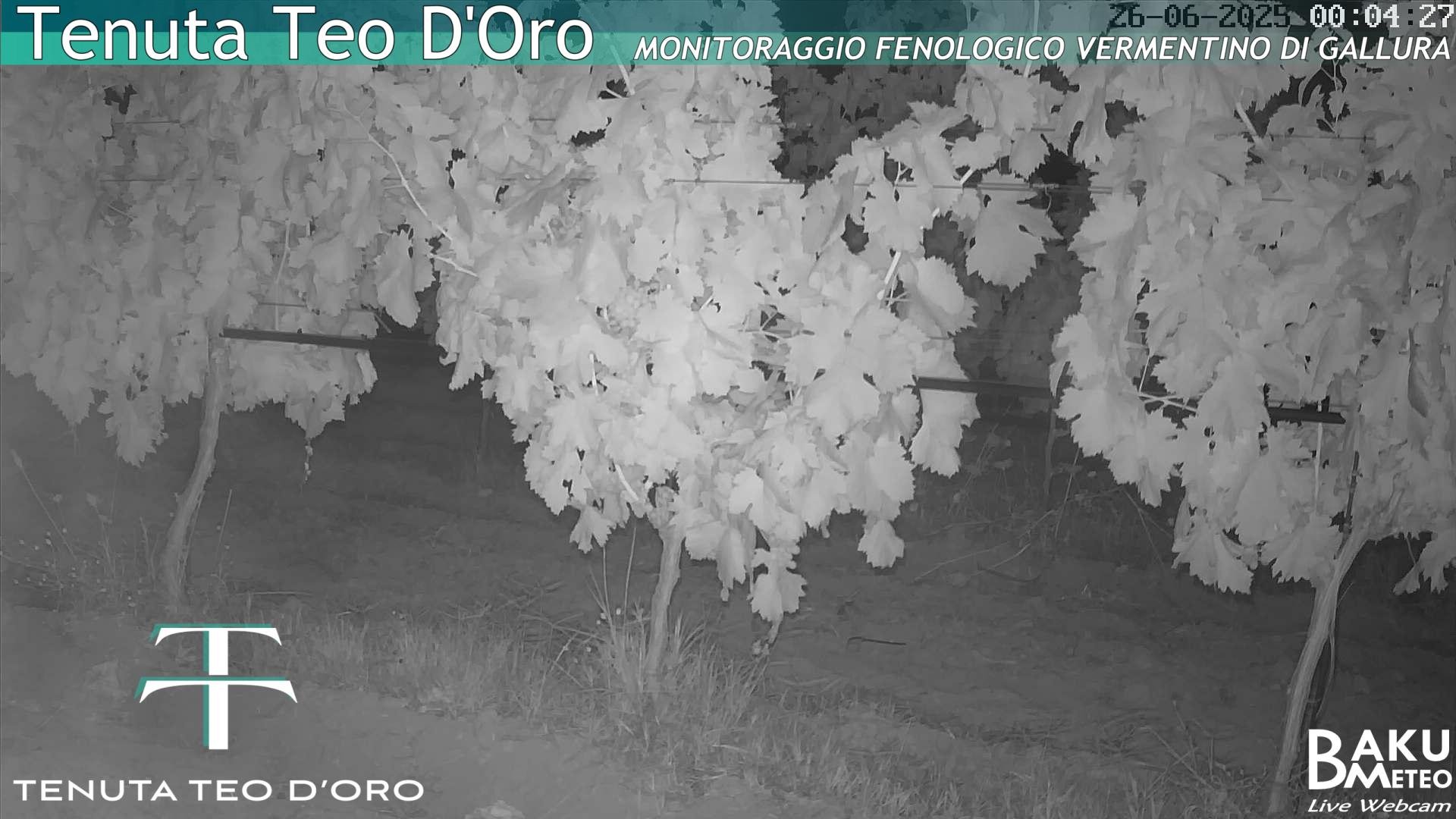 time-lapse frame, Teodoro webcam