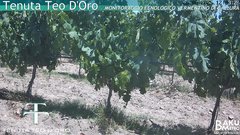 view from Teodoro on 2025-06-26