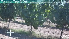 view from Teodoro on 2025-07-01