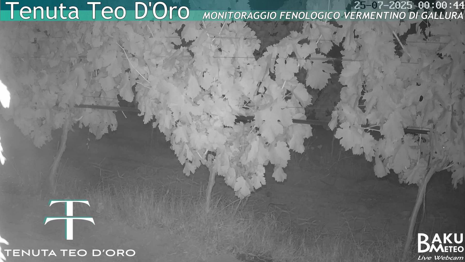 time-lapse frame, Teodoro webcam