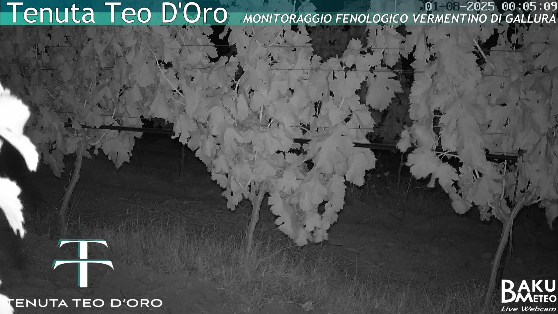 time-lapse frame, Teodoro webcam