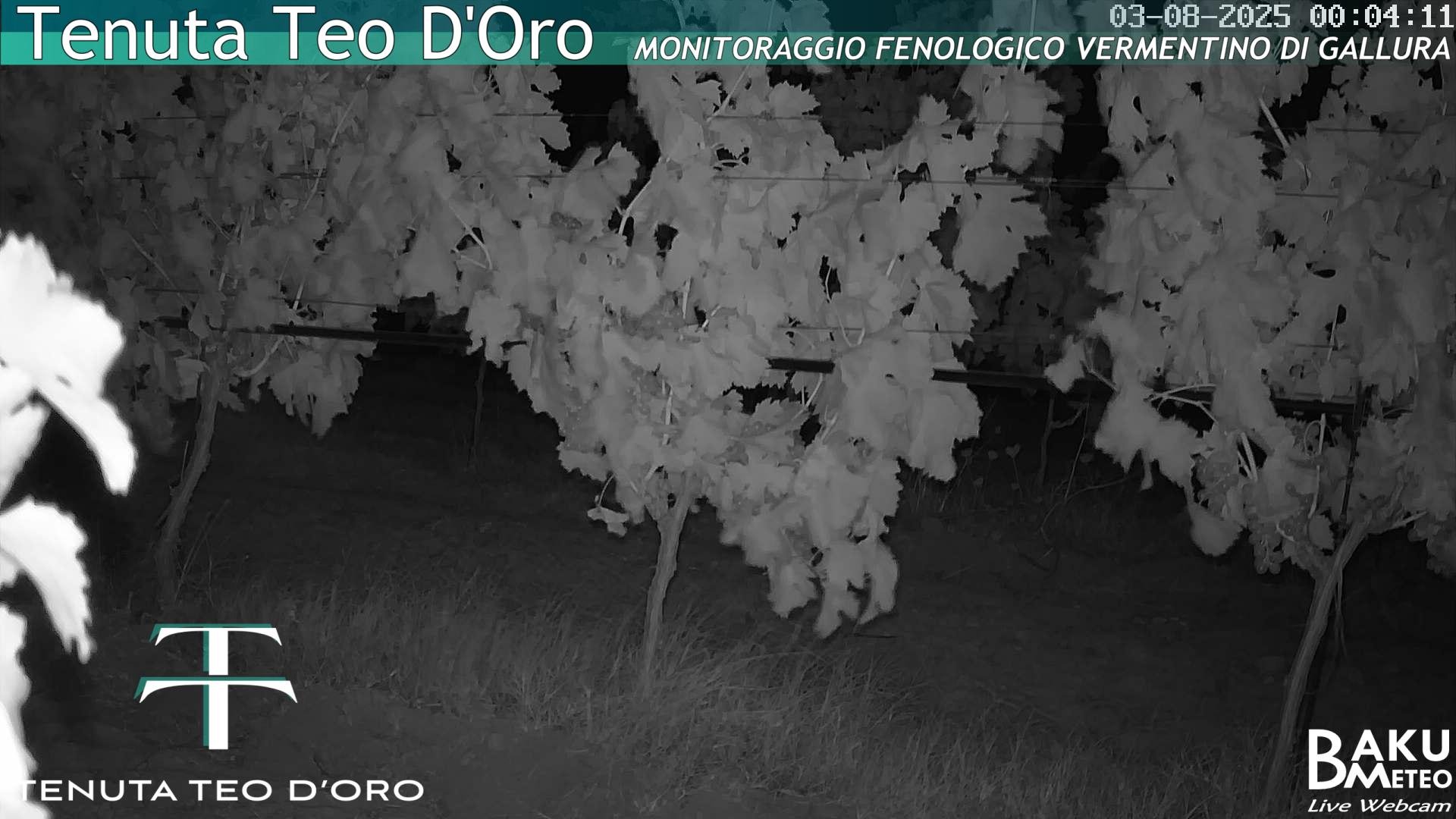 time-lapse frame, Teodoro webcam