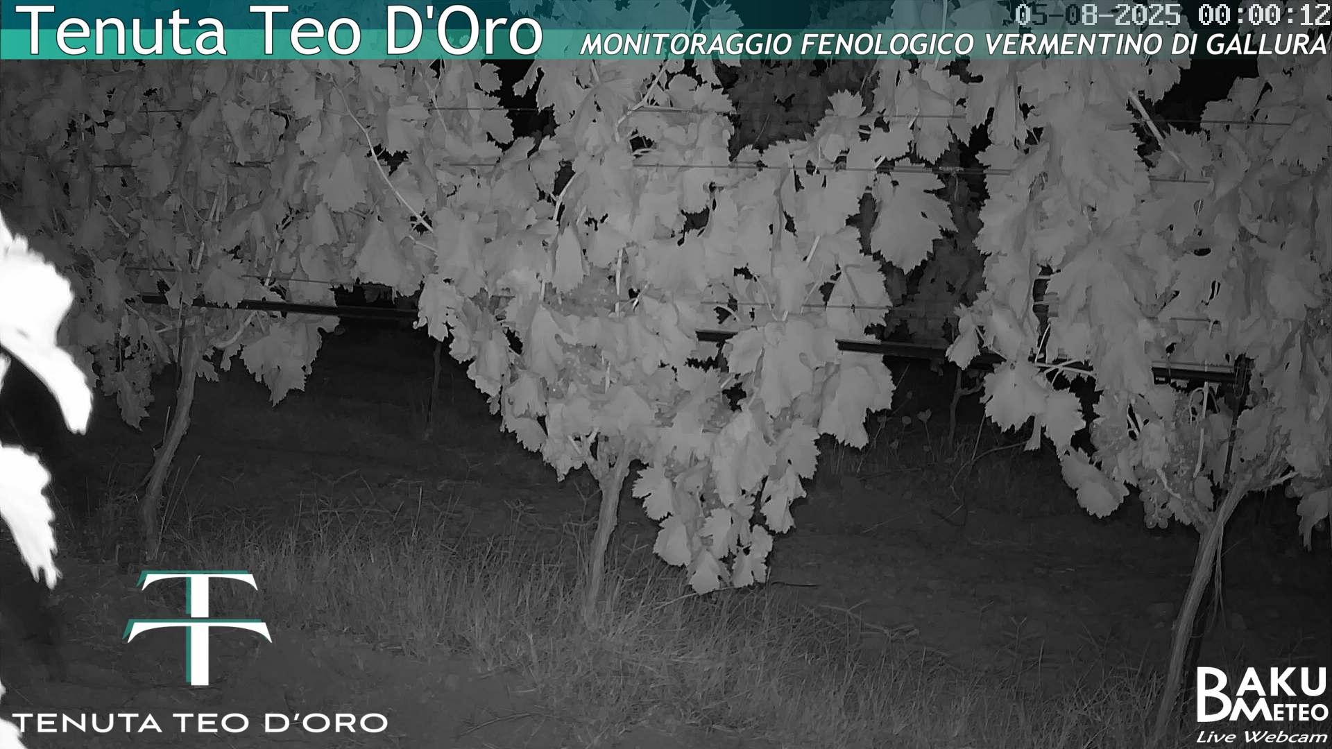 time-lapse frame, Teodoro webcam