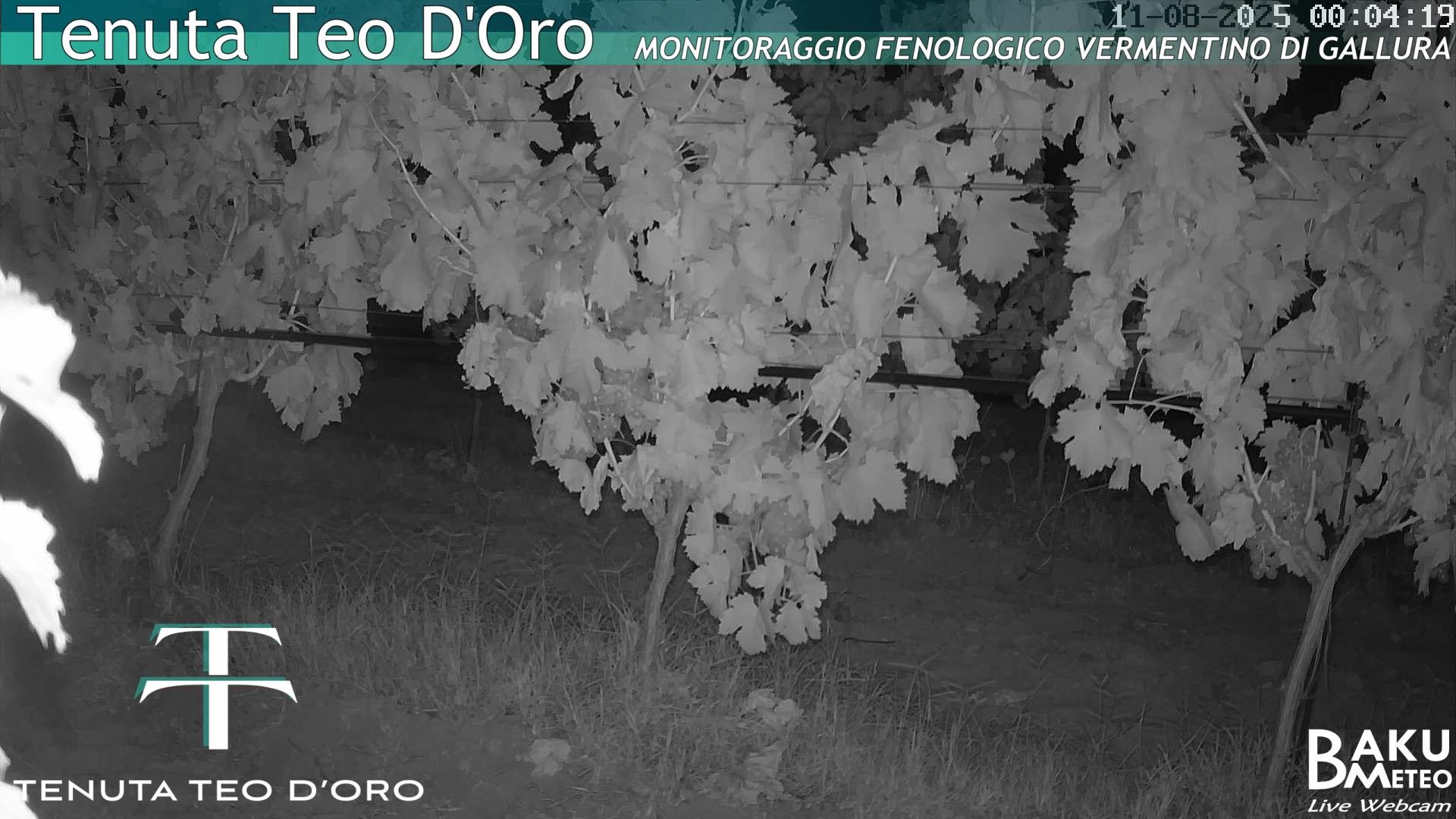 time-lapse frame, Teodoro webcam