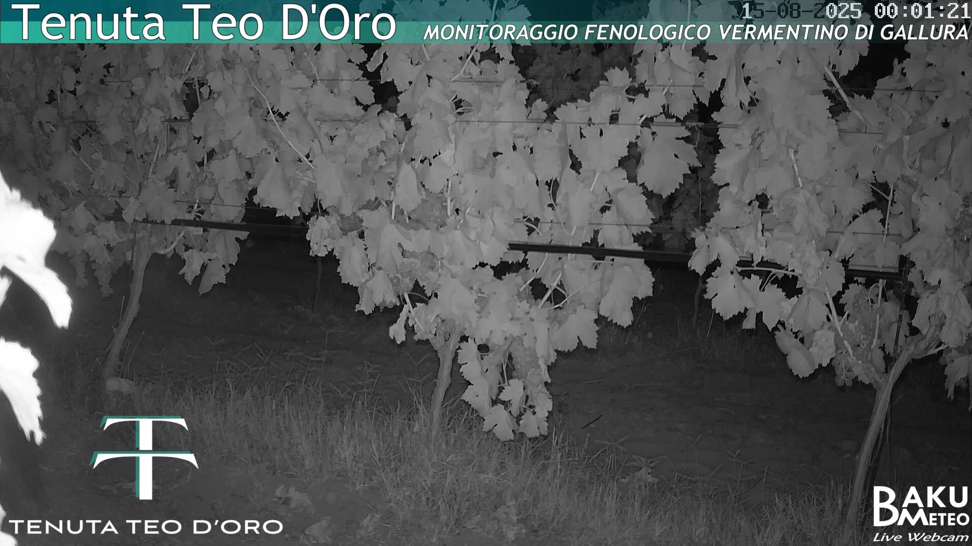 time-lapse frame, Teodoro webcam