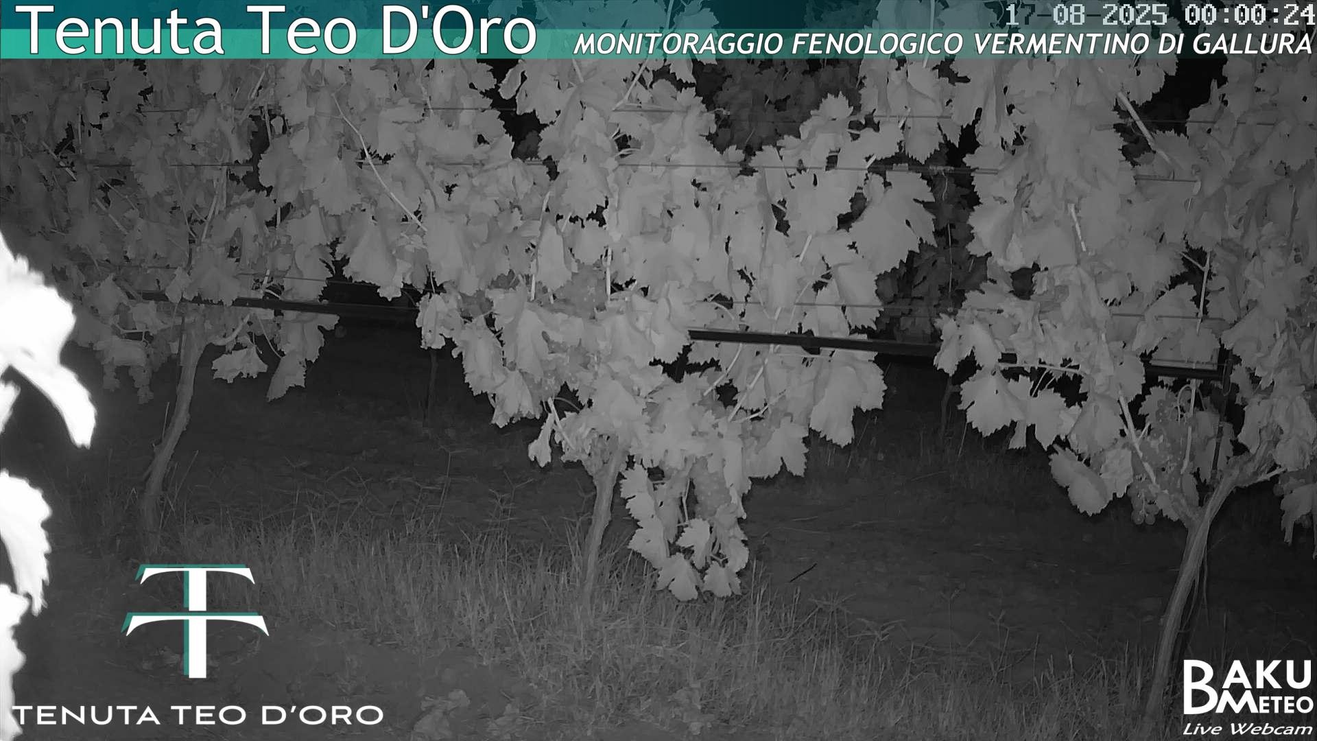 time-lapse frame, Teodoro webcam