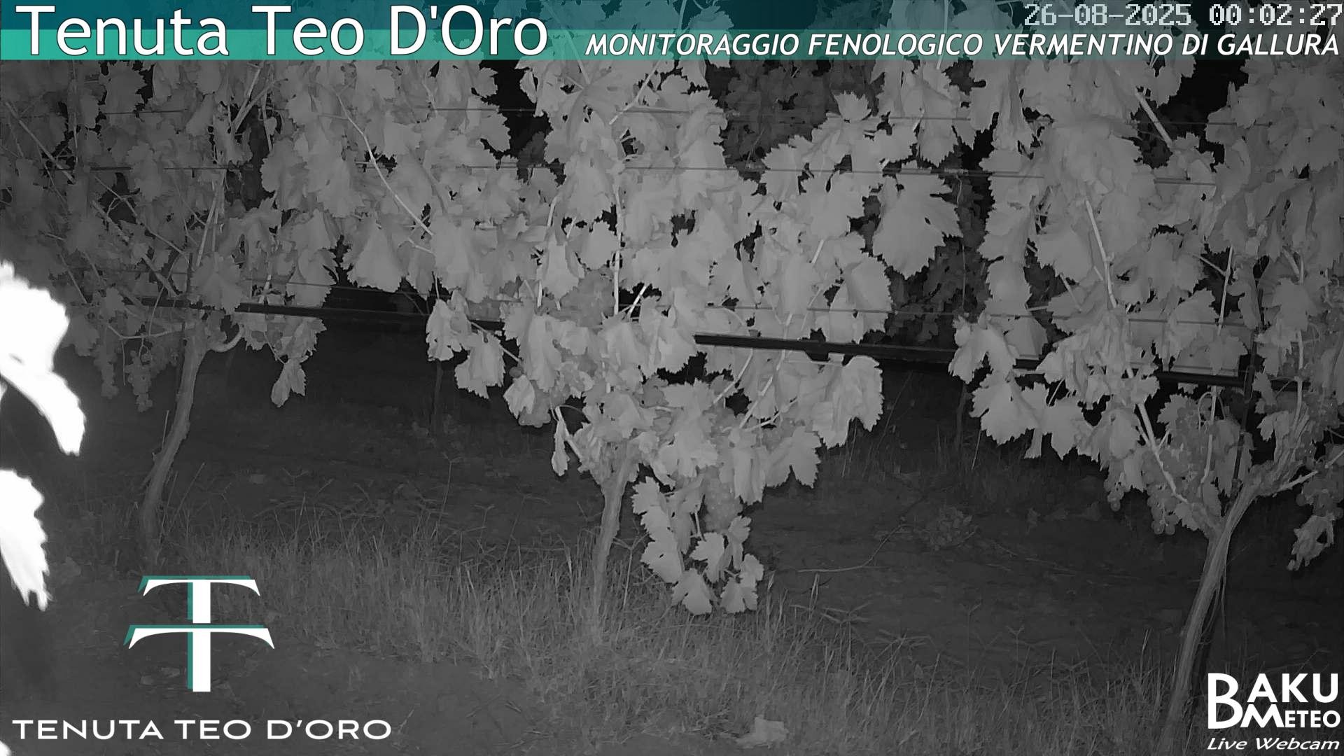 time-lapse frame, Teodoro webcam
