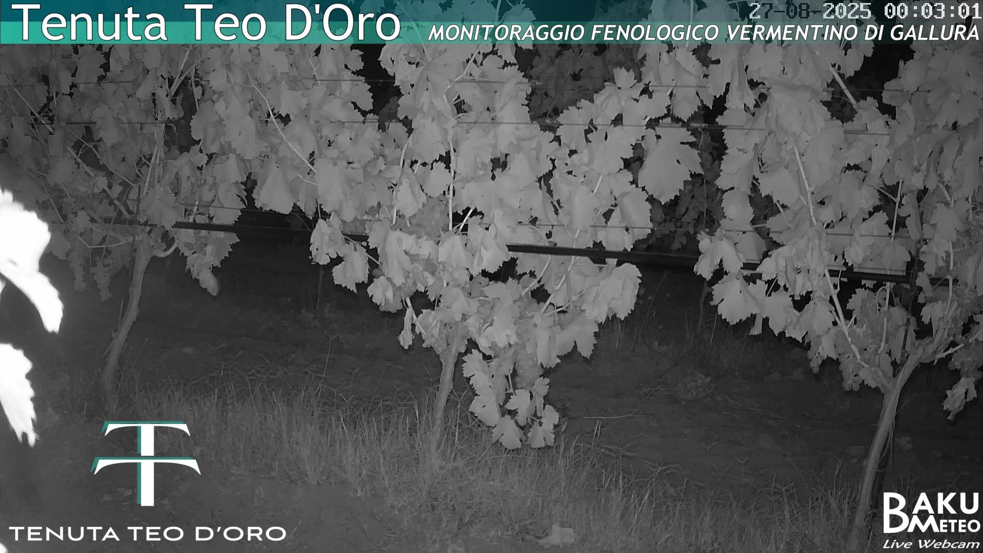 time-lapse frame, Teodoro webcam