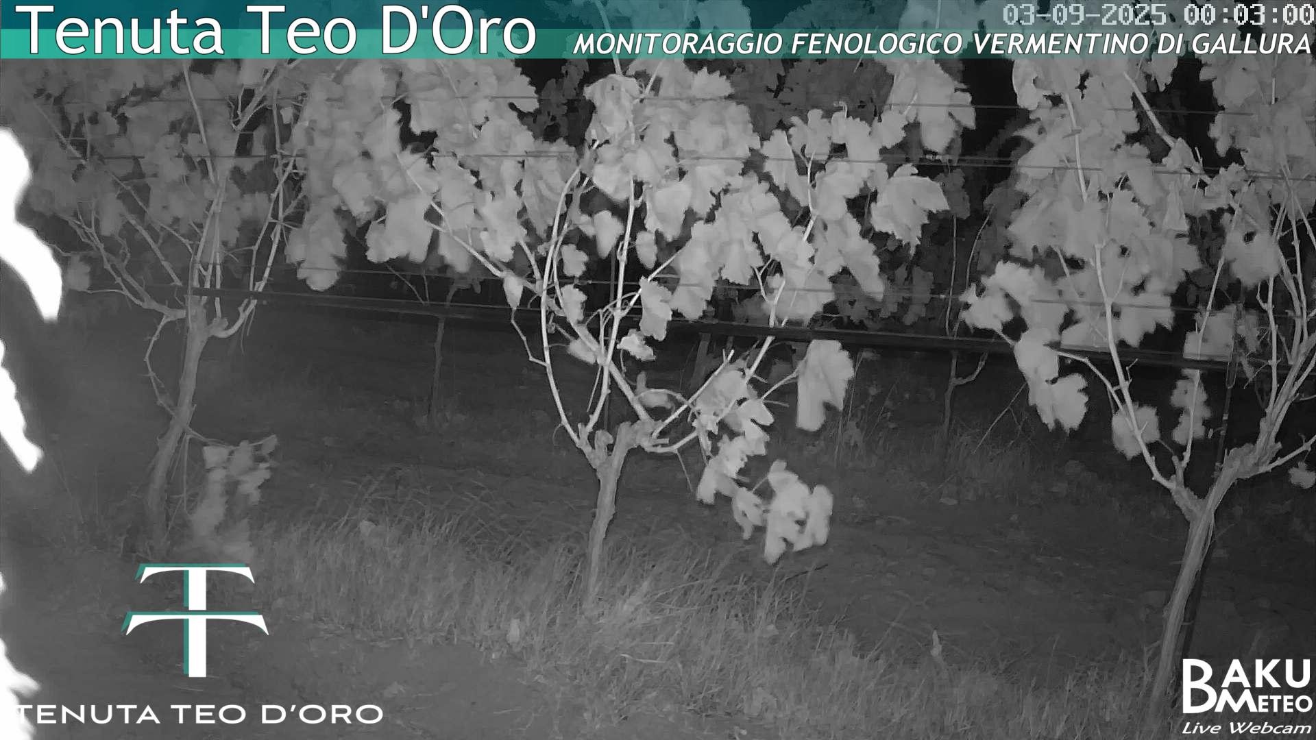 time-lapse frame, Teodoro webcam