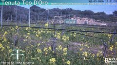 view from Teodoro on 2026-03-09