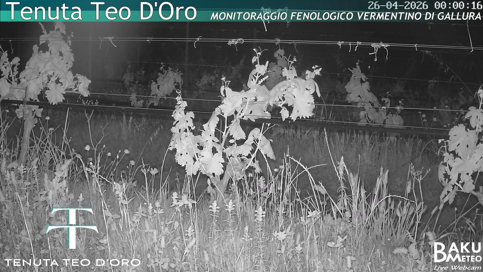 time-lapse frame, Teodoro webcam