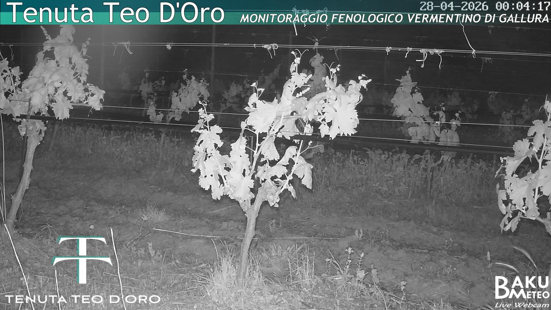time-lapse frame, Teodoro webcam