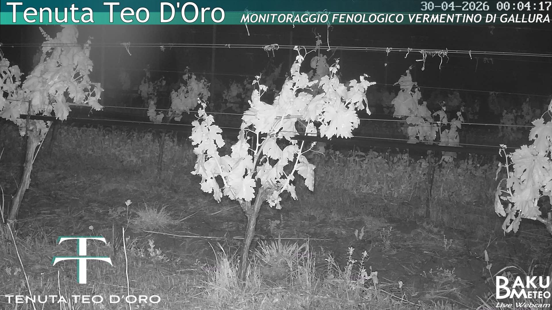 time-lapse frame, Teodoro webcam