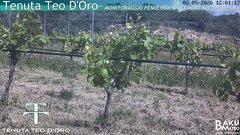 view from Teodoro on 2026-05-02
