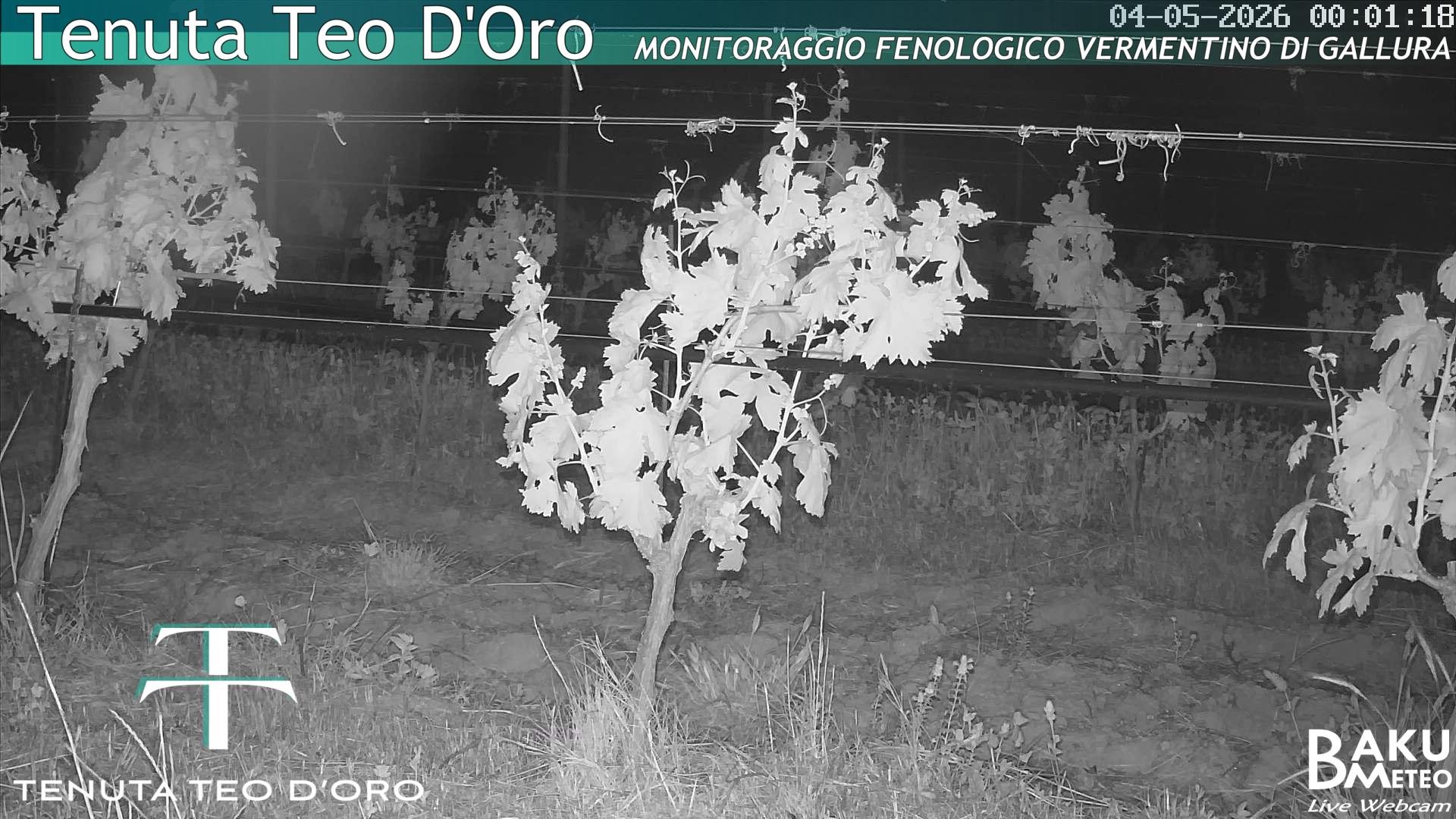 time-lapse frame, Teodoro webcam