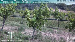 view from Teodoro on 2026-05-14