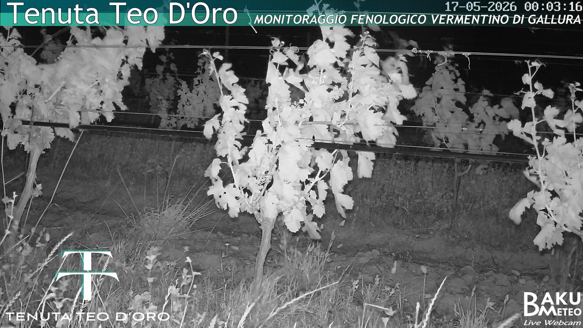 time-lapse frame, Teodoro webcam