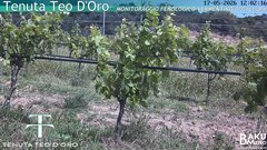 view from Teodoro on 2026-05-17
