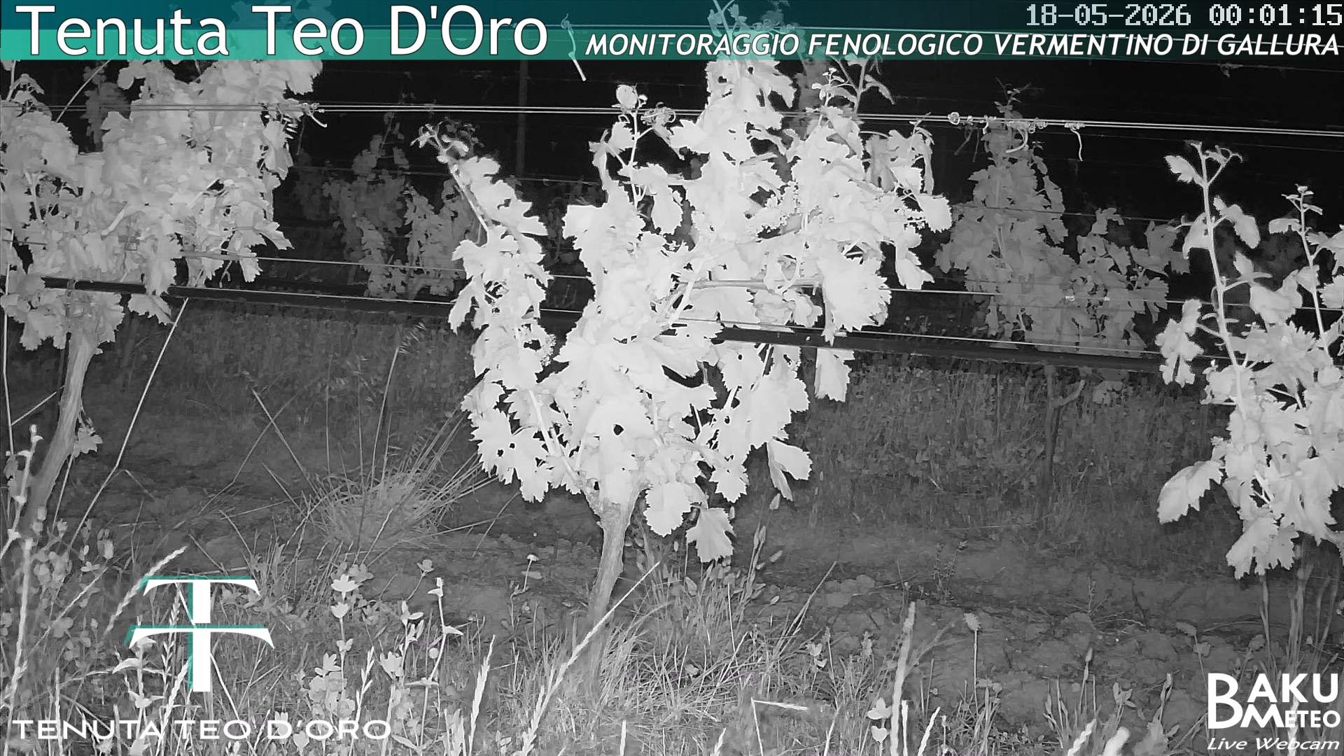 time-lapse frame, Teodoro webcam
