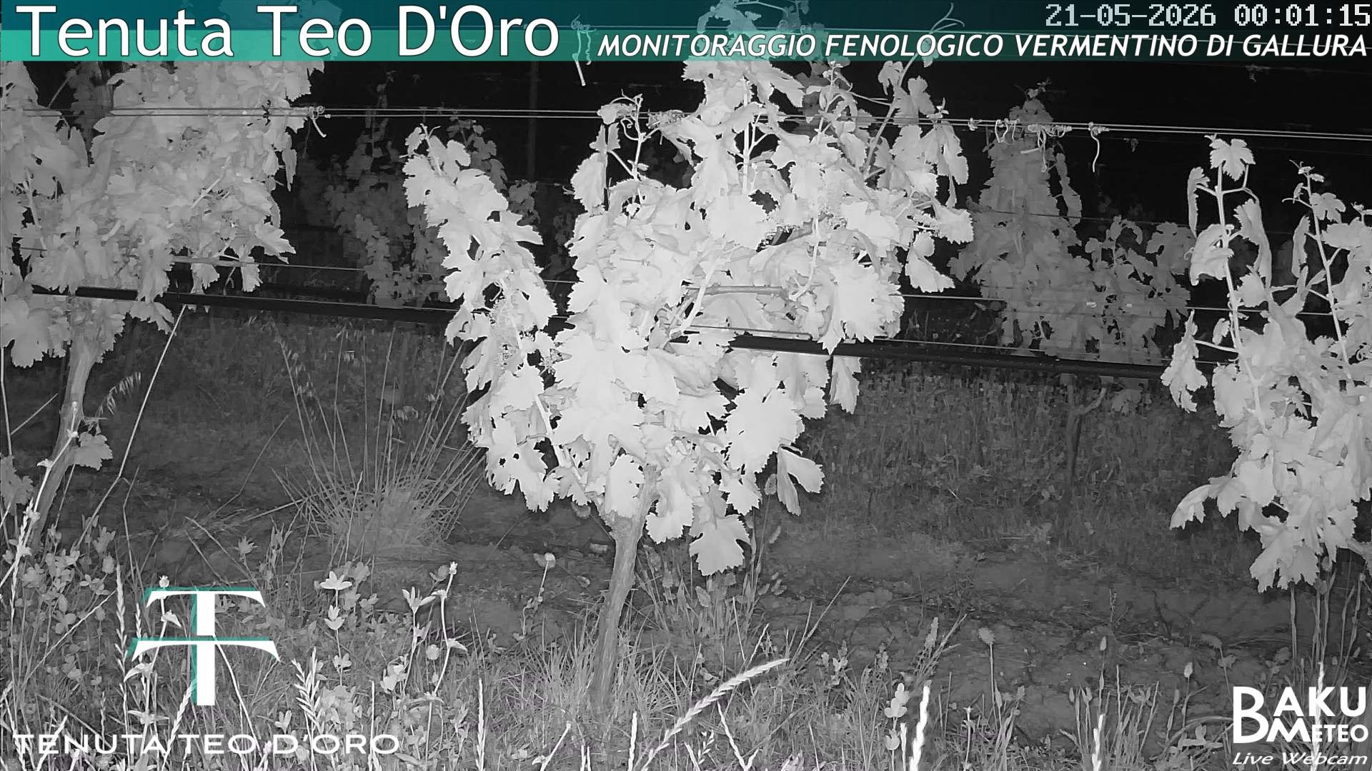 time-lapse frame, Teodoro webcam