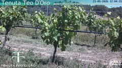 view from Teodoro on 2026-05-21