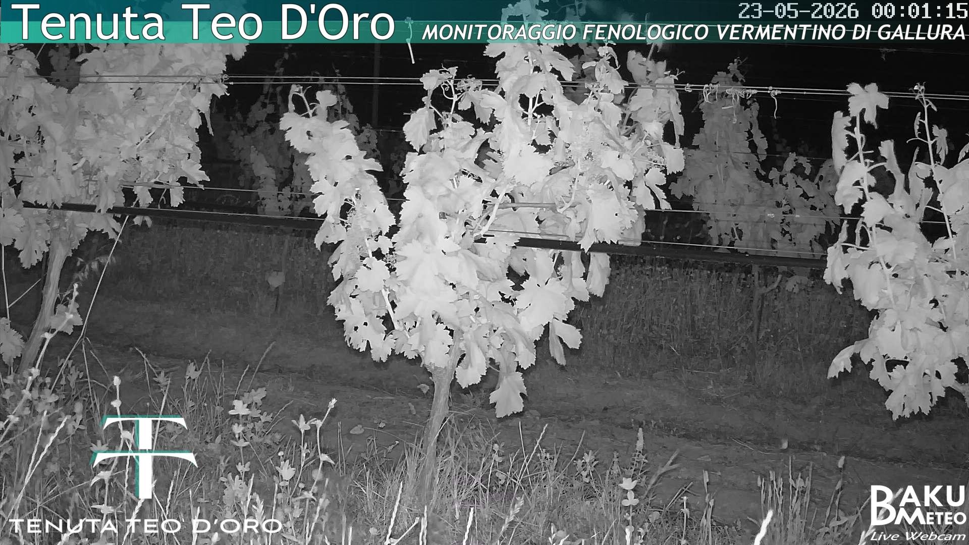 time-lapse frame, Teodoro webcam