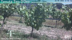 view from Teodoro on 2026-05-26