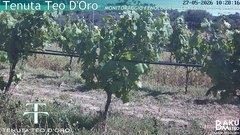 view from Teodoro on 2026-05-27