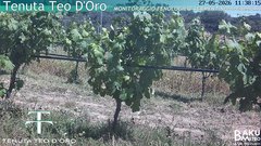 view from Teodoro on 2026-05-27