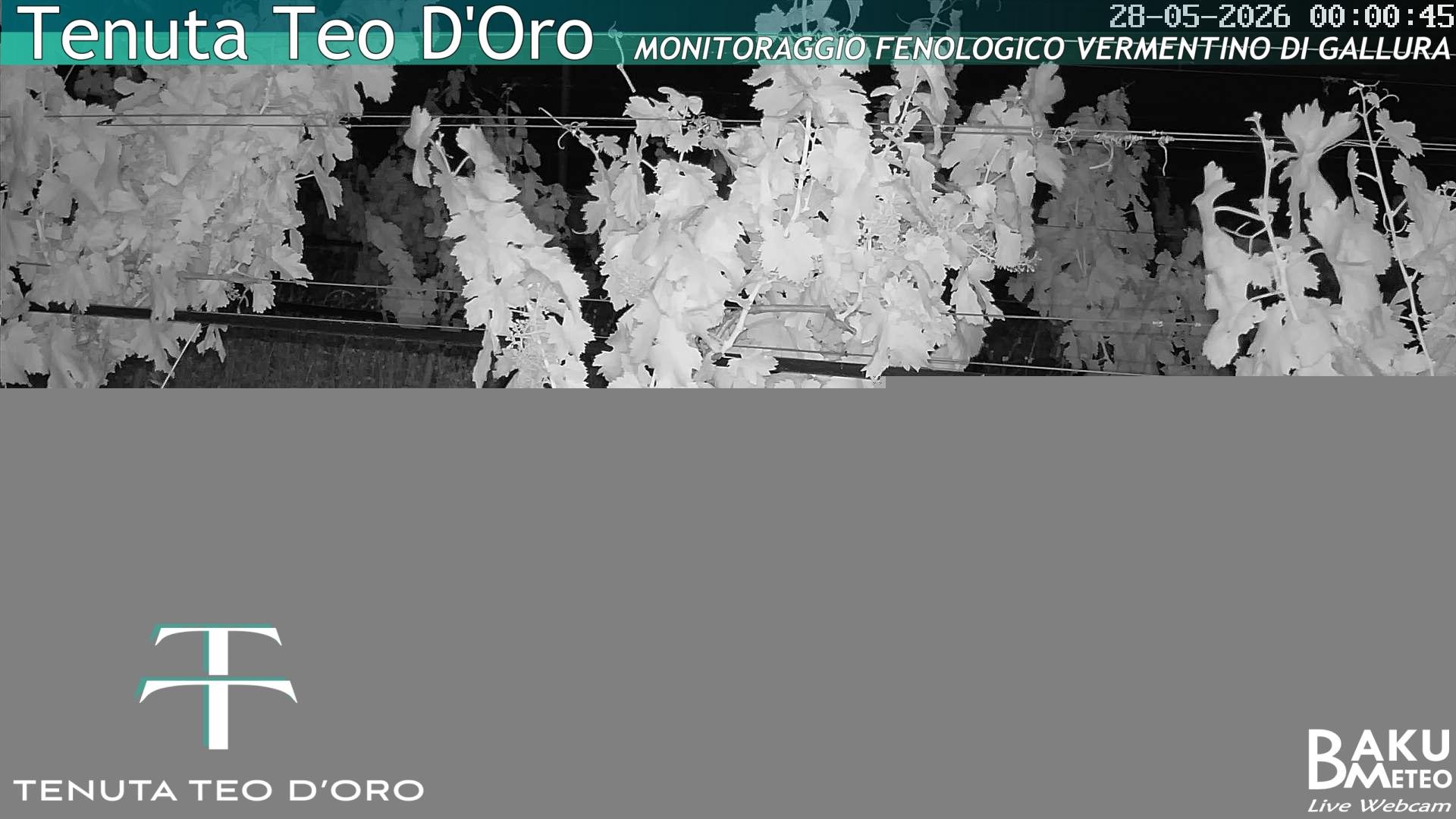 time-lapse frame, Teodoro webcam
