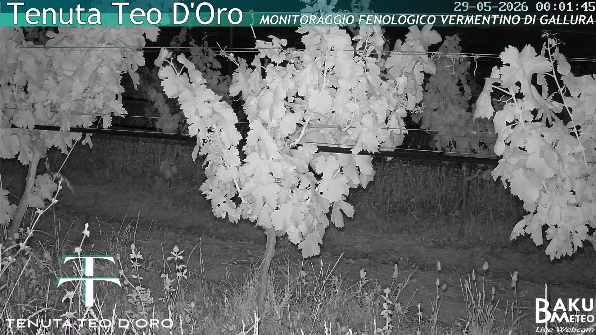 time-lapse frame, Teodoro webcam