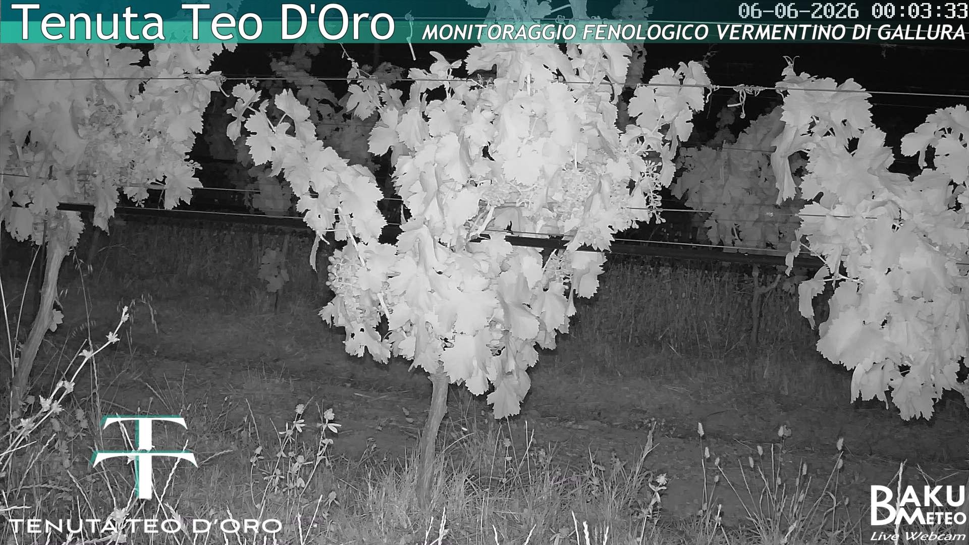 time-lapse frame, Teodoro webcam