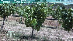 view from Teodoro on 2026-06-08