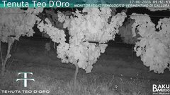 view from Teodoro on 2026-06-17