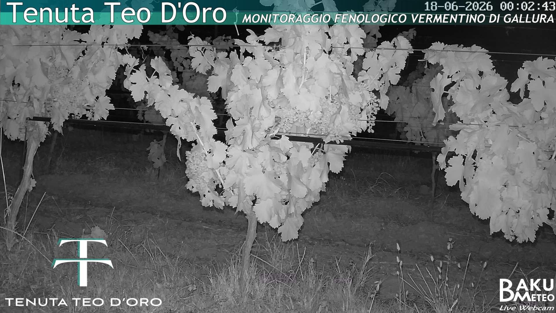 time-lapse frame, Teodoro webcam