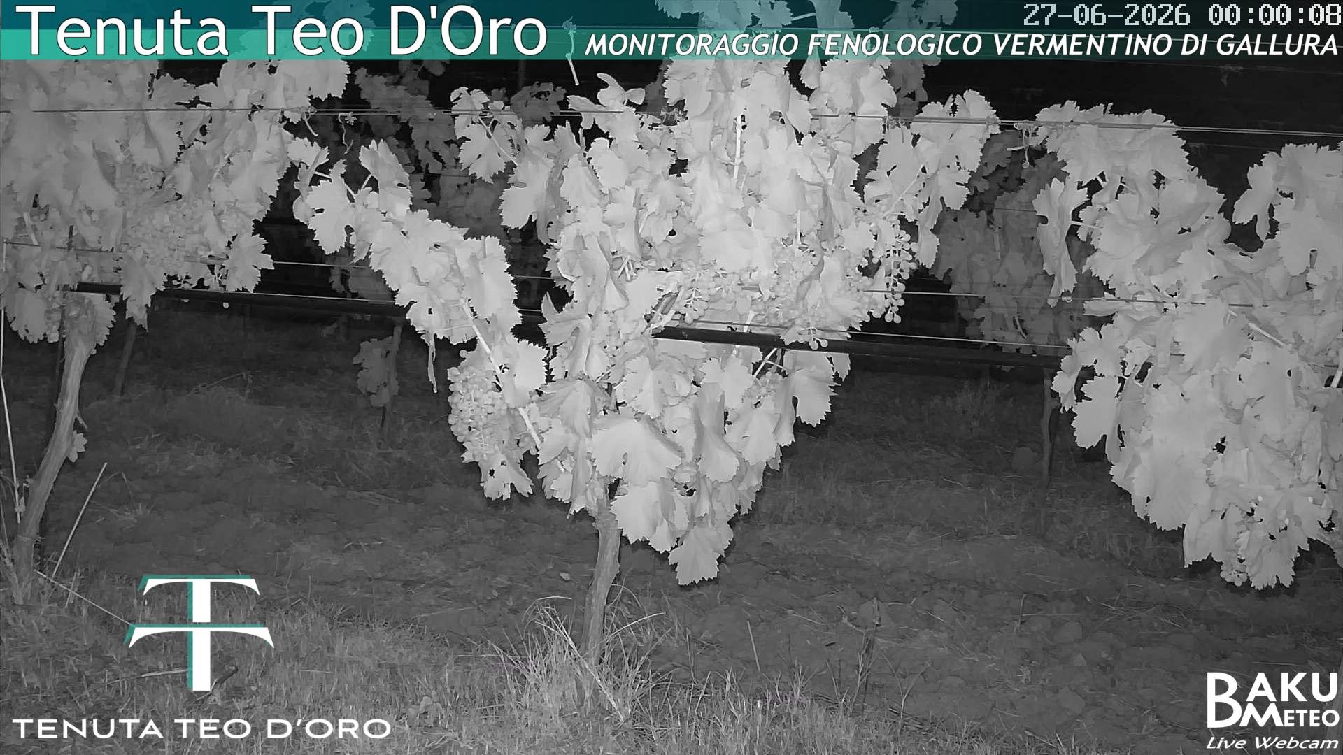 time-lapse frame, Teodoro webcam
