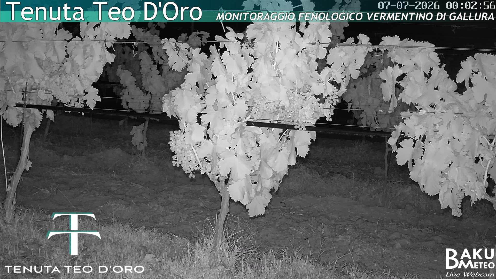 time-lapse frame, Teodoro webcam
