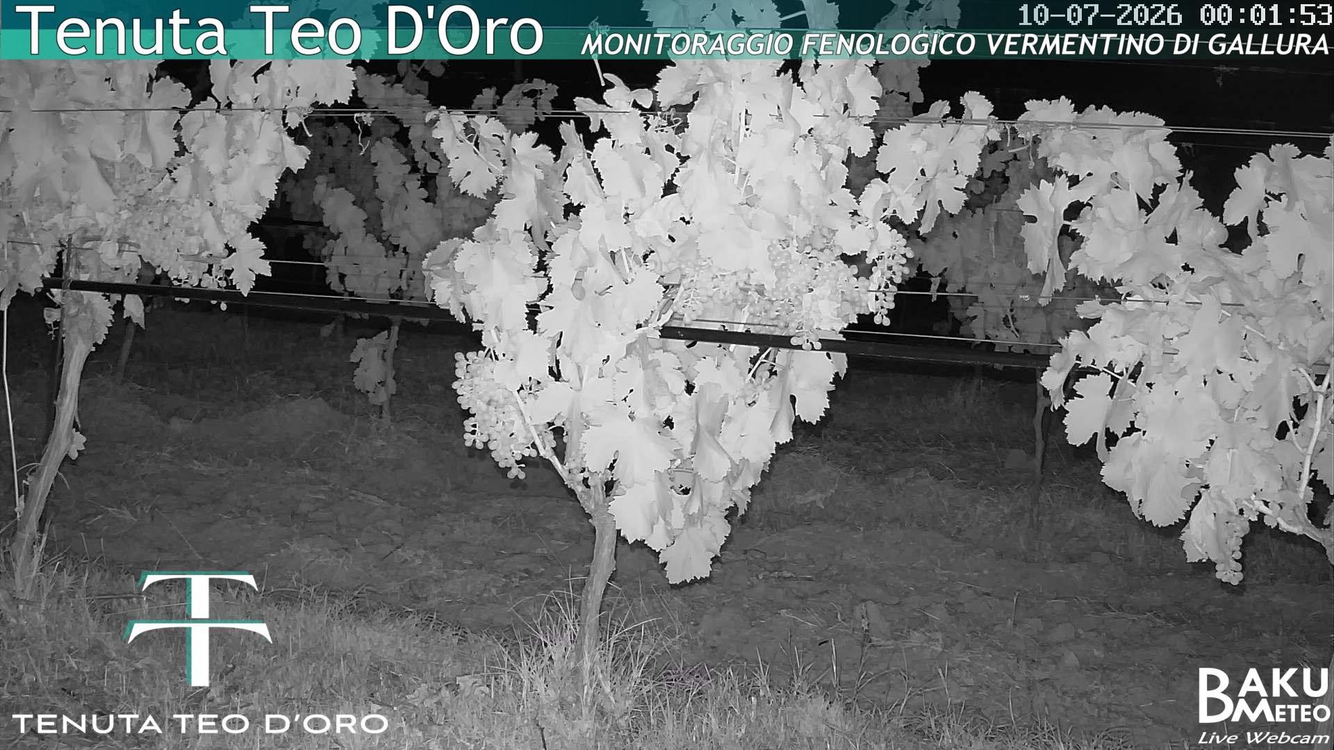 time-lapse frame, Teodoro webcam