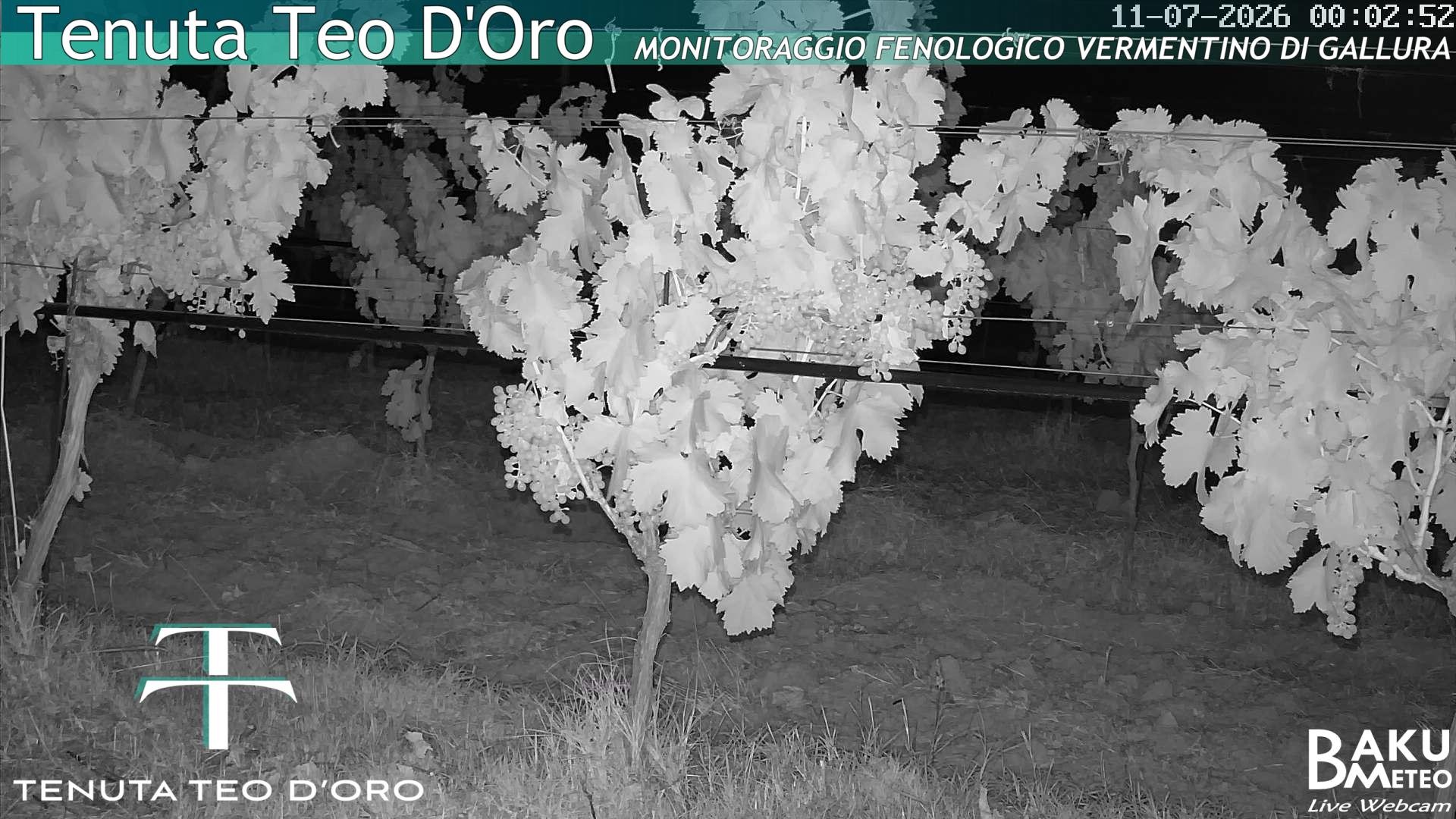 time-lapse frame, Teodoro webcam