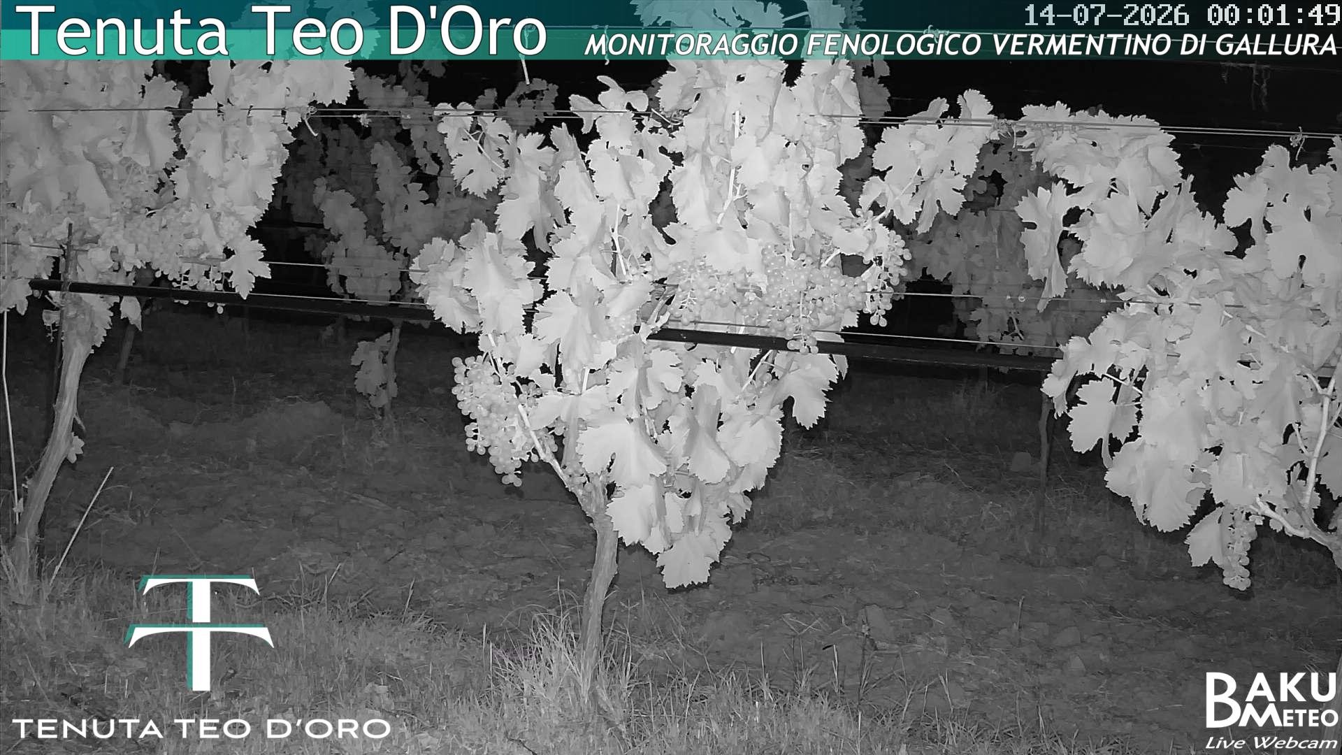 time-lapse frame, Teodoro webcam