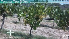view from Teodoro on 2026-07-26